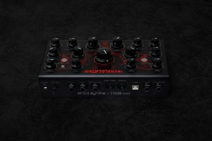画像3: Erica Synths  Echolocator　