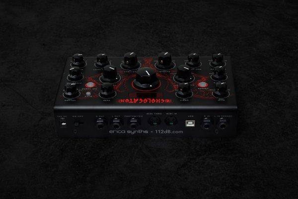 画像3: Erica Synths  Echolocator　次回入荷分 (3)