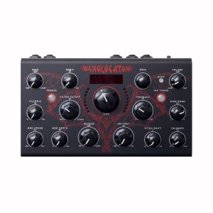 画像1: Erica Synths  Echolocator　