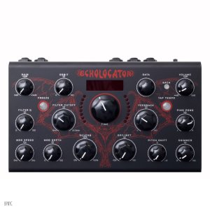 画像2: Erica Synths  Echolocator　
