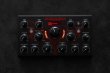 画像4: Erica Synths  Echolocator　次回入荷分 (4)
