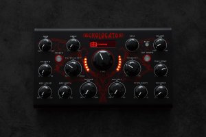 画像4: Erica Synths  Echolocator　