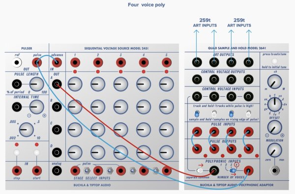 画像4: Buchla & Tiptop Audio Programmable Pulser Model 264t　 (4)