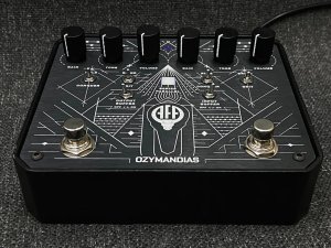 画像3: ANIMAL FACTORY AMPLIFICATION Ozymandias