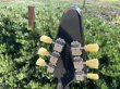 画像8: 2012 Gibson Flying V ’67 Reissue BLACK ON BLACK　売却済 (8)