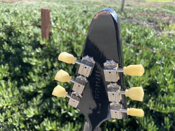 画像8: 2012 Gibson Flying V ’67 Reissue BLACK ON BLACK　売却済 (8)