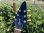画像6: 2012 Gibson Flying V ’67 Reissue BLACK ON BLACK