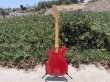 画像11: Hagstrom II 1960s Beautiful Red, All original, HSC, Tremolo bar (11)