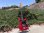 画像3: Hagstrom II 1960s Beautiful Red, All original, HSC, Tremolo bar