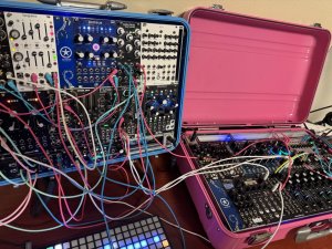 画像3: Seaside Modular Proteus 