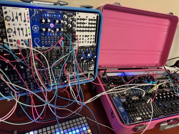 画像3: Seaside Modular Proteus　次回入荷分 (3)