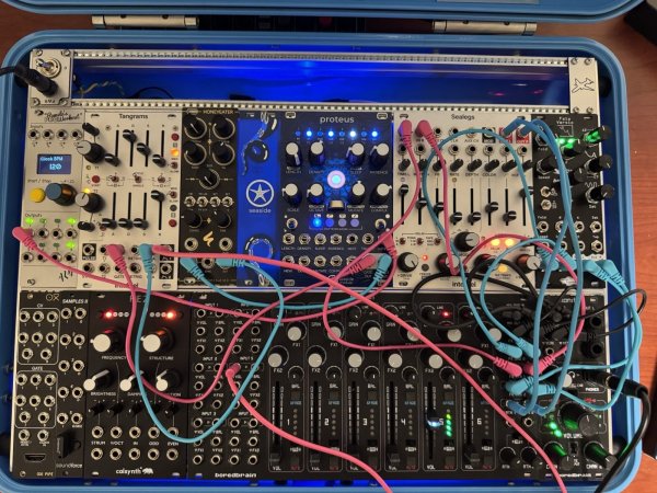 画像4: Seaside Modular Proteus　次回入荷分 (4)