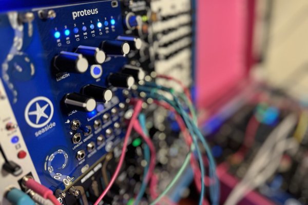 画像5: Seaside Modular Proteus　次回入荷分 (5)