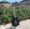 画像23: GIBSON 2011 LES PAUL TRADITIONAL PRO SPLIT COIL P90 EBONY