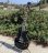 画像3: GIBSON 2011 LES PAUL TRADITIONAL PRO SPLIT COIL P90 EBONY