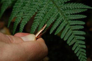 画像15: Instruō Pocket Scion Bio-Feedback Instrument　次回入荷分