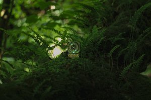 画像11: Instruō Pocket Scion Bio-Feedback Instrument　次回入荷分