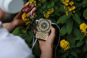 画像16: Instruō Pocket Scion Bio-Feedback Instrument　次回入荷分