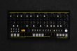 画像4: Erica Synths  & Hexinverter Hexdrums　次回入荷分 (4)
