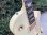 画像13: 1989 Gibson Les Paul Standard Alpine White (13)