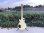 画像16: 1989 Gibson Les Paul Standard Alpine White (16)