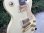 画像9: 1989 Gibson Les Paul Standard Alpine White (9)