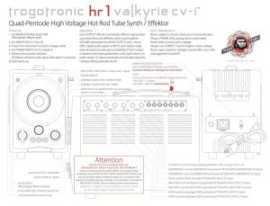画像2: Trogotronic TR-Valkyrie　要予約