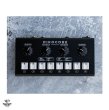 画像1: Erica Synths  Pikocore XL DIY　次回入荷分 (1)