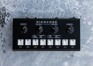 画像2: Erica Synths  Pikocore XL DIY