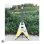 画像1: 1991 Gibson Flying V ’67 Early Reissue Alpine White (1)