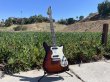 画像3: 1964 Epiphone Olympic Double Sunburst "Batwing" headstock (3)