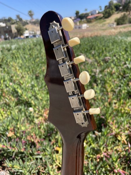 画像13: 1964 Epiphone Olympic Double Sunburst "Batwing" headstock (13)