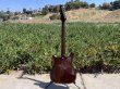 画像11: 1964 Epiphone Olympic Double Sunburst "Batwing" headstock (11)