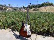 画像2: 1964 Epiphone Olympic Double Sunburst "Batwing" headstock (2)