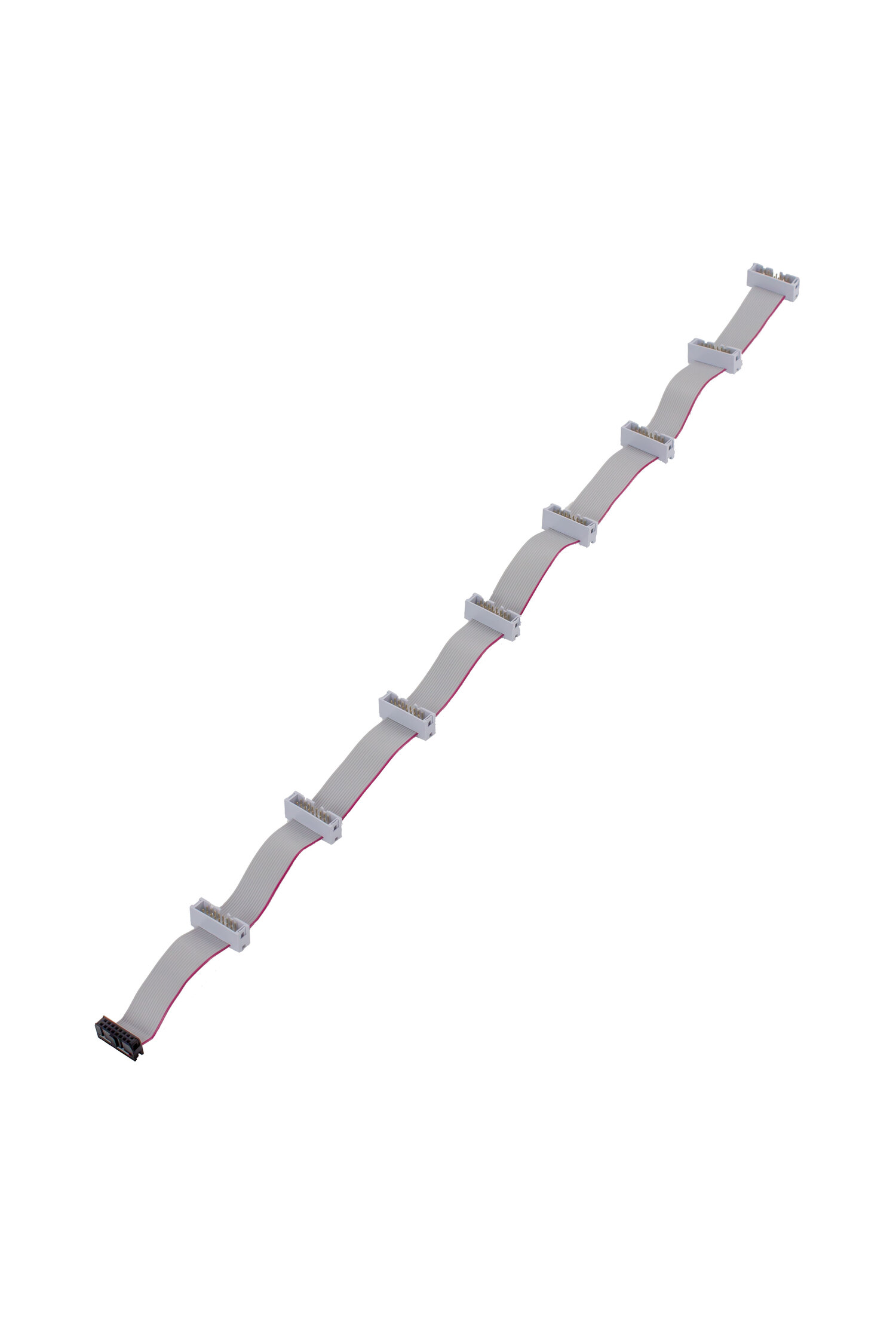 Flying Bus Board Cable・ユーロラックモジュラー専用 フライングバス ケーブル