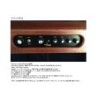 画像18: Hobbs Theremin Standard　要予約 (18)