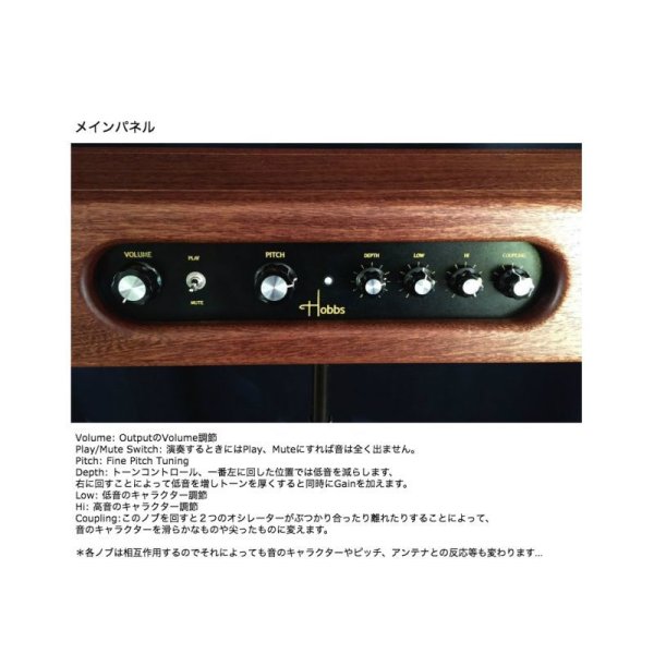 画像18: Hobbs Theremin Standard 要予約 (18)