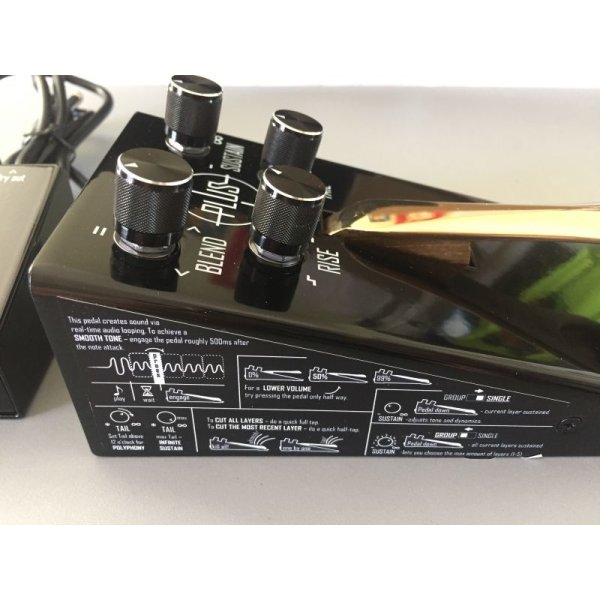 画像4: GAMECHANGER AUDIO PLUS PEDAL W/FOOTSWITCH　 (4)