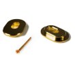 画像1: TOWNER Hinge Plate Adaptor Gold (1)