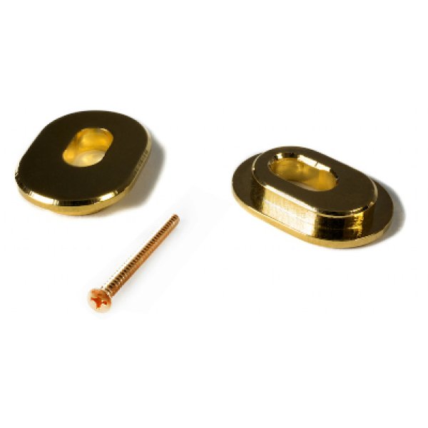 画像1: TOWNER Hinge Plate Adaptor Gold (1)