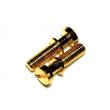 画像1: Replacement METRIC Tailpiece Mounting Studs (NO ANCHORS)Gold (1)