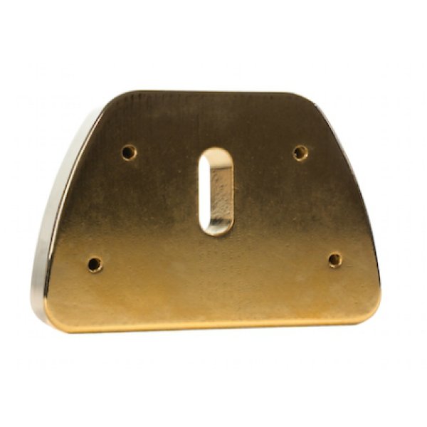 画像1: TOWNER V.BLOCK Gold with Hinge Plate Adaptor (1)