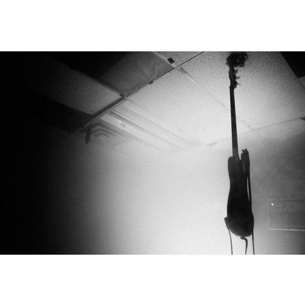 画像3: Death By Audio     WE'VE COME SO FAR PHOTO BOOK 次回入荷分 (3)