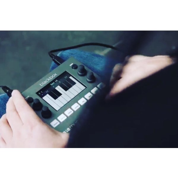 画像5: 1010MUSIC BLACKBOX – コンパクト サンプリング スタジオ　次回入荷分 (5)