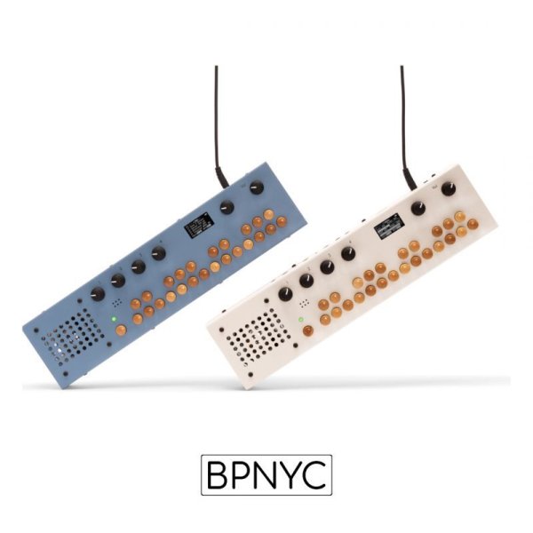 画像2: Critter & Guitari  ORGANELLE M   (2)