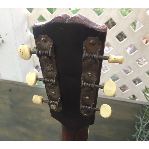 画像14: 1915 Gibson L4 レアビンテージ ギブソン アコースティック 売却済 (14)