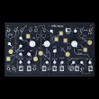 画像3: Make Noise Strega　次回入荷分 (3)