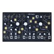 画像2: Make Noise Strega　次回入荷分 (2)