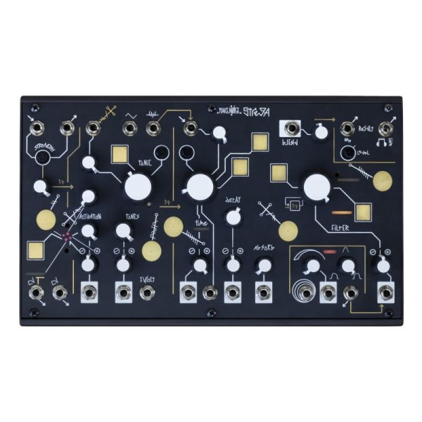 画像2: Make Noise Strega　次回入荷分 (2)