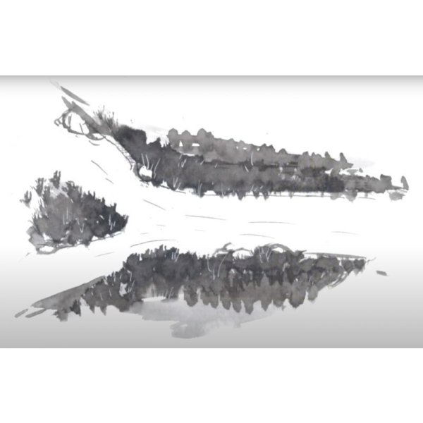 画像3: Jolin Lab AGOGÔ Black Mirror - 8 Chained Vactrol LPGs  (3)